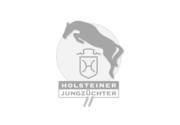 Holsteiner Jungzüchter